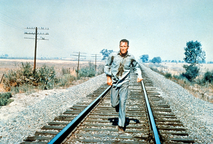 Paul Newman in "Cool Hand Luke"