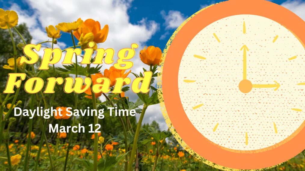 Daylight Saving Time