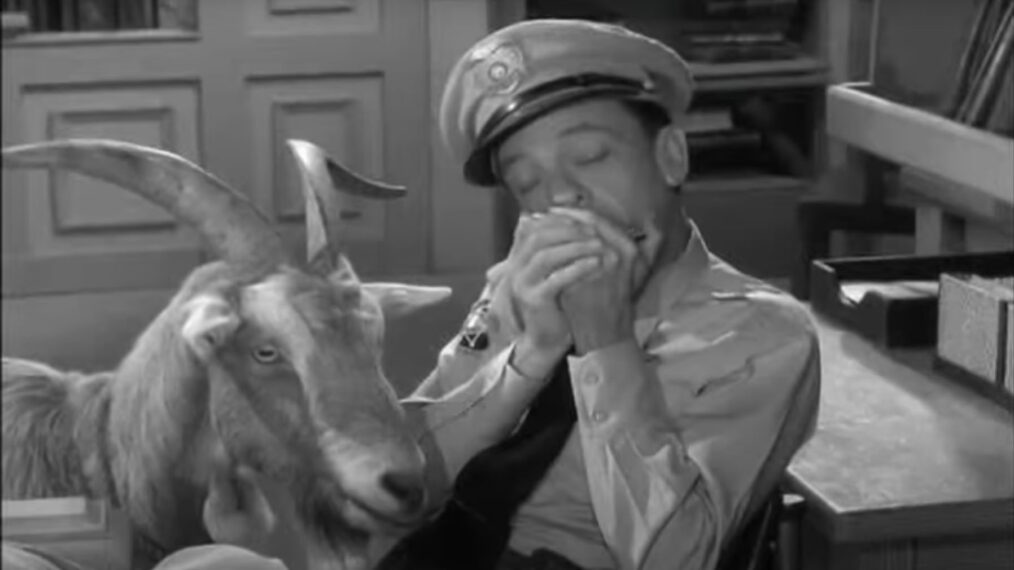 Don Knotts as Barney Fife, playing harmonica alongside a goat, in 