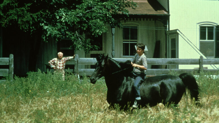 Mickey Rooney and Kelly Reno The Black Stallion (1979)