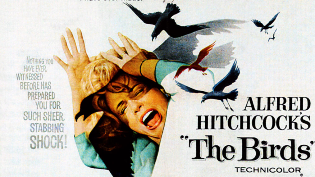 THE BIRDS, top: Alfred Hitchcock, center and bottom: Tippi Hedren on poster art, 1963.