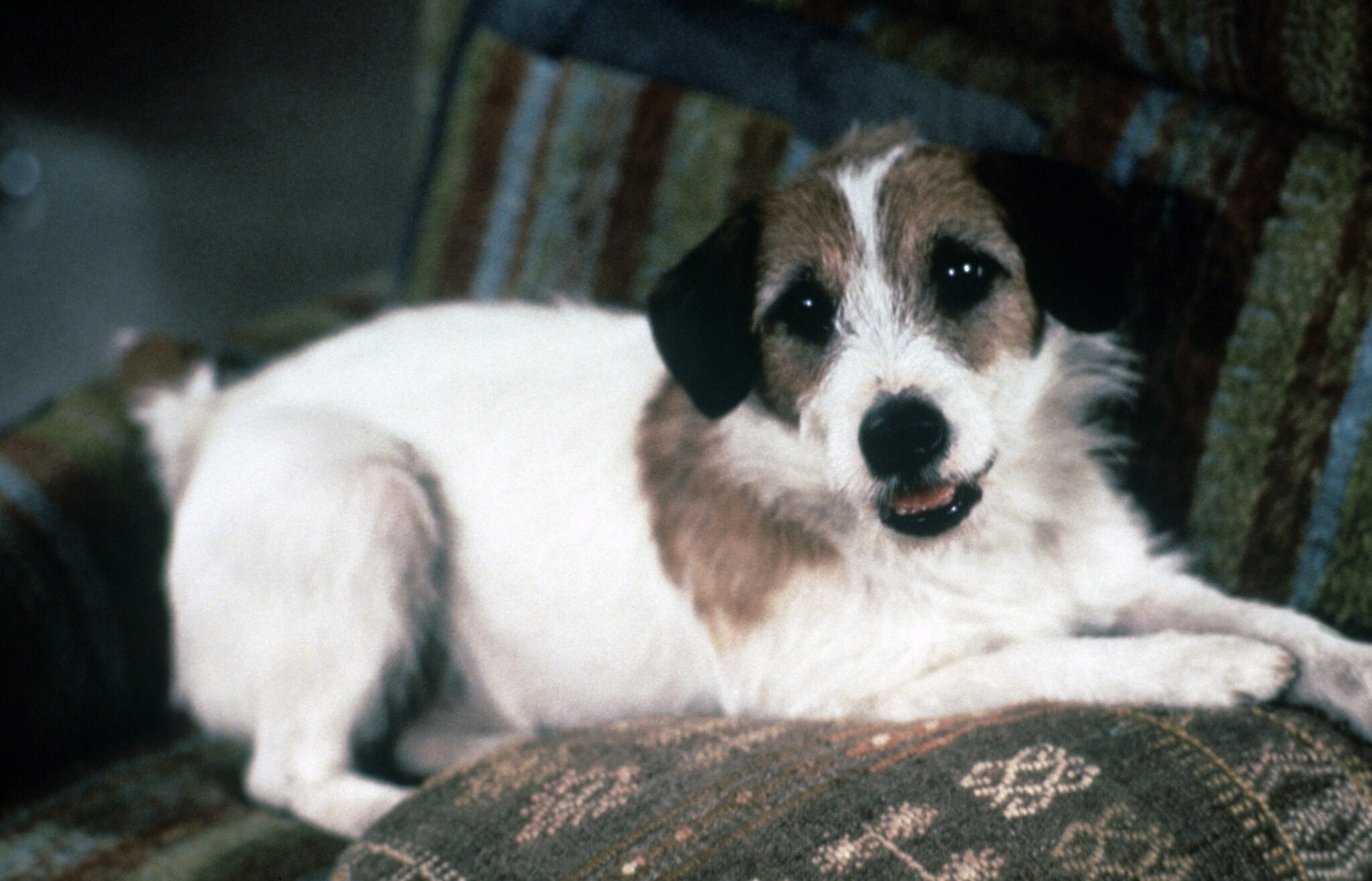 Whatever Happened to the Cast of the '90s 'Frasier?'