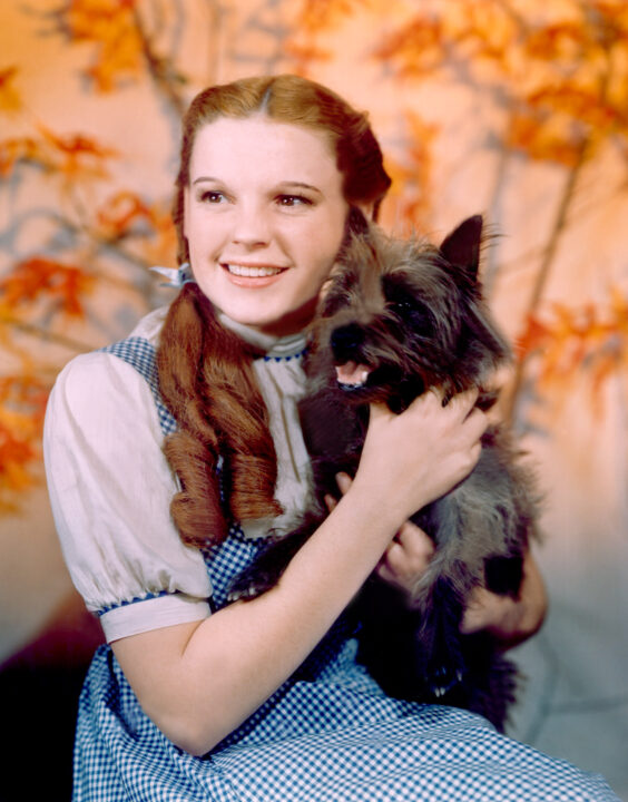THE WIZARD OF OZ, Judy Garland, Toto, 1939