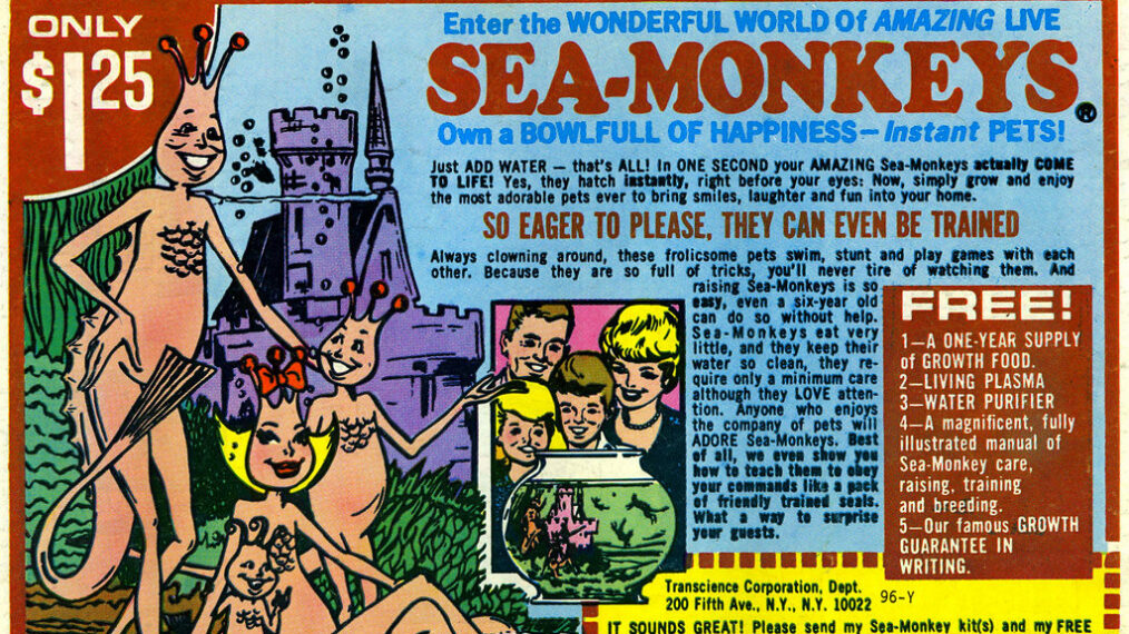 Advertisement for Sea Monkeys in 1971