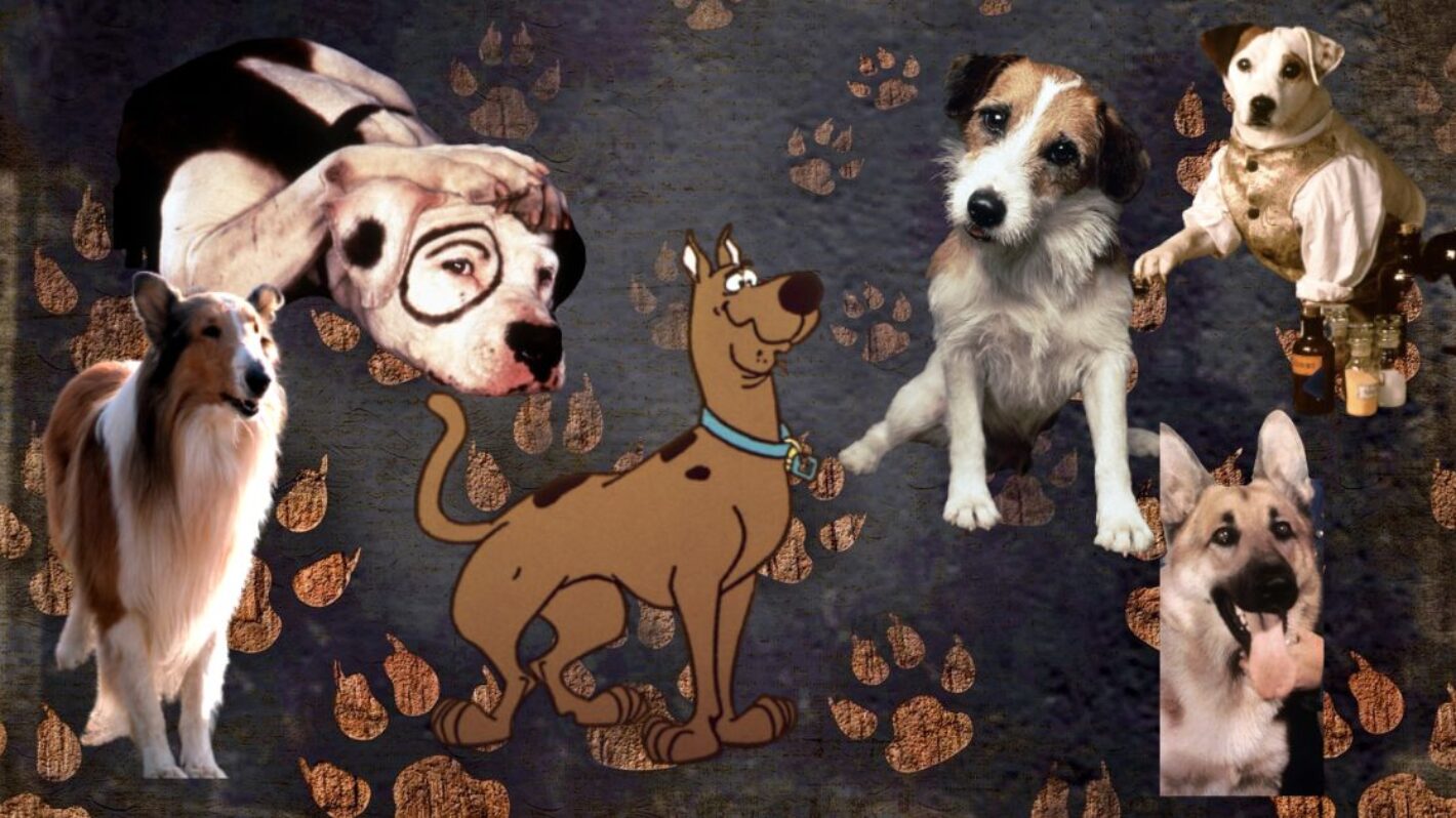Most Iconic Dogs on TV