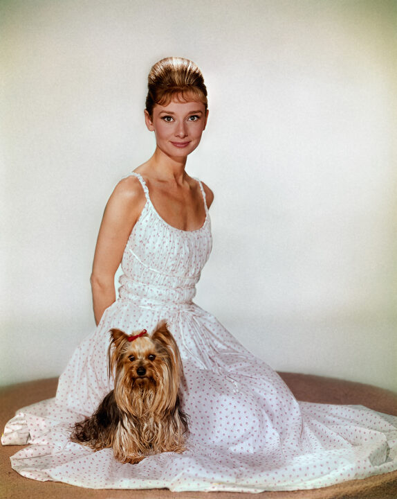 Audrey Hepburn and her terrier Mr. Famous