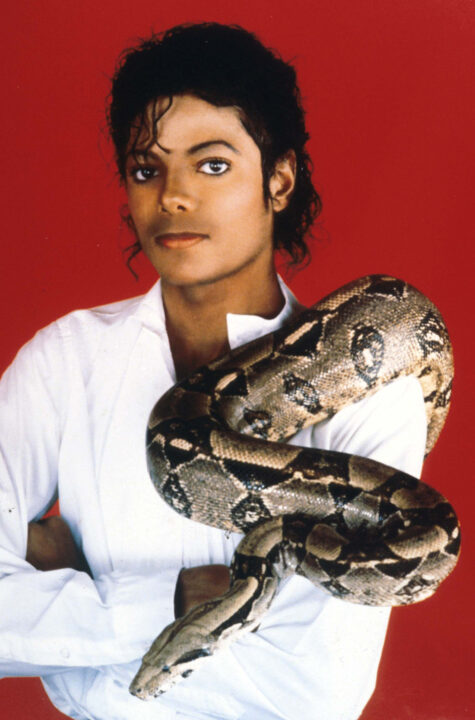 382639 01: Entertainer Michael Jackson poses with his pet boa constrictor September 15, 1987 in the USA. Jackson, who was the lead singer for the Jackson Five by age eight, reached the peak of his solo career with 1982''s "Thriller," the best-selling album of all time and recipient of eight Grammy awards. (Photo by Liaison)