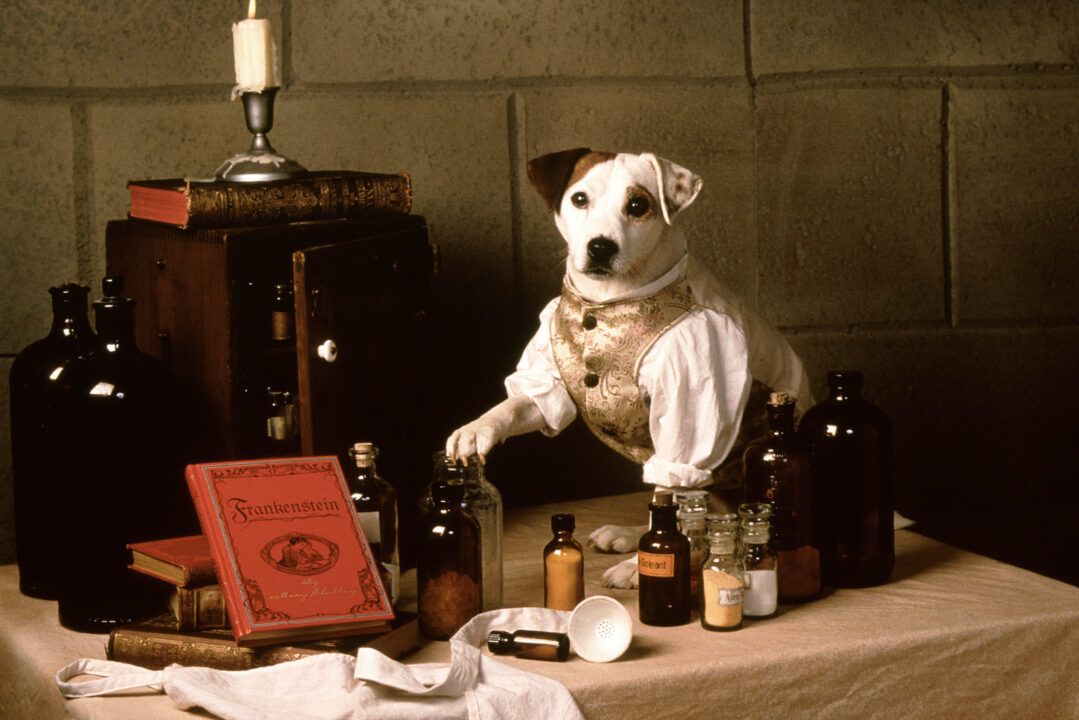 WISHBONE, Wishbone the dog, (1995), 1995-99