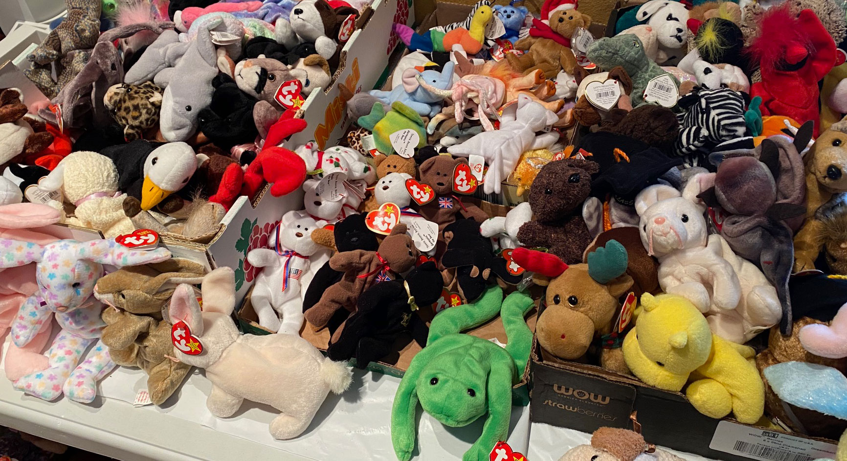 Beanie Babies at estate sale in 2023