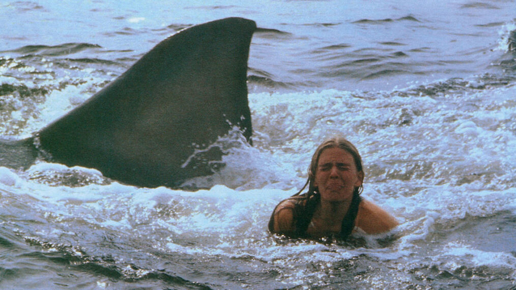 Going Back in the Water With 'Jaws 2' 45 Years Later