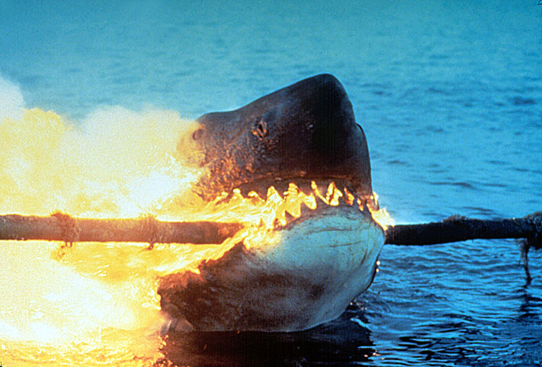 photo still from the 1978 movie "Jaws 2." It depicts the ending, with the killer shark biting an underwater power line that has been raised up with a winch. The photo shows the shark in closeup, on fire as it gets electrocuted by chewing the power line.