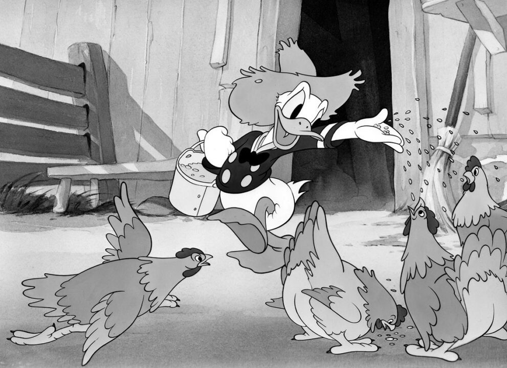 Image from the 1941 Disney animated short "Old MacDonald Duck." Star Donald Duck is shown standing in front of a stable, wearing a straw hat, and tossing chicken feed to several chickens standing in the foreground.