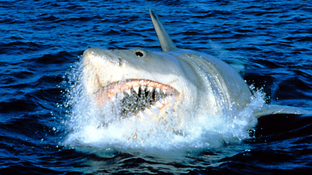 'Jaws' Swam Into Movie Theaters in June 1975 & We Are Still Afraid of the Water