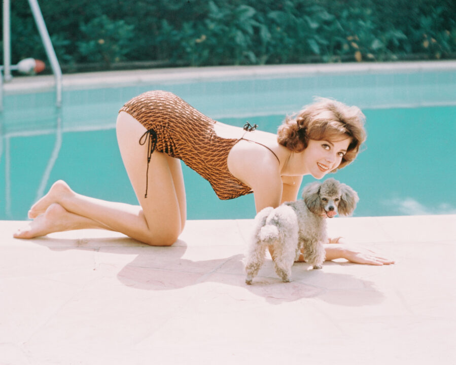 Natalie Wood (1938-1981), US actress, wearing a brown swimsuit, kneeling beside a small poodle, beside a swimming pool, circa 1970.