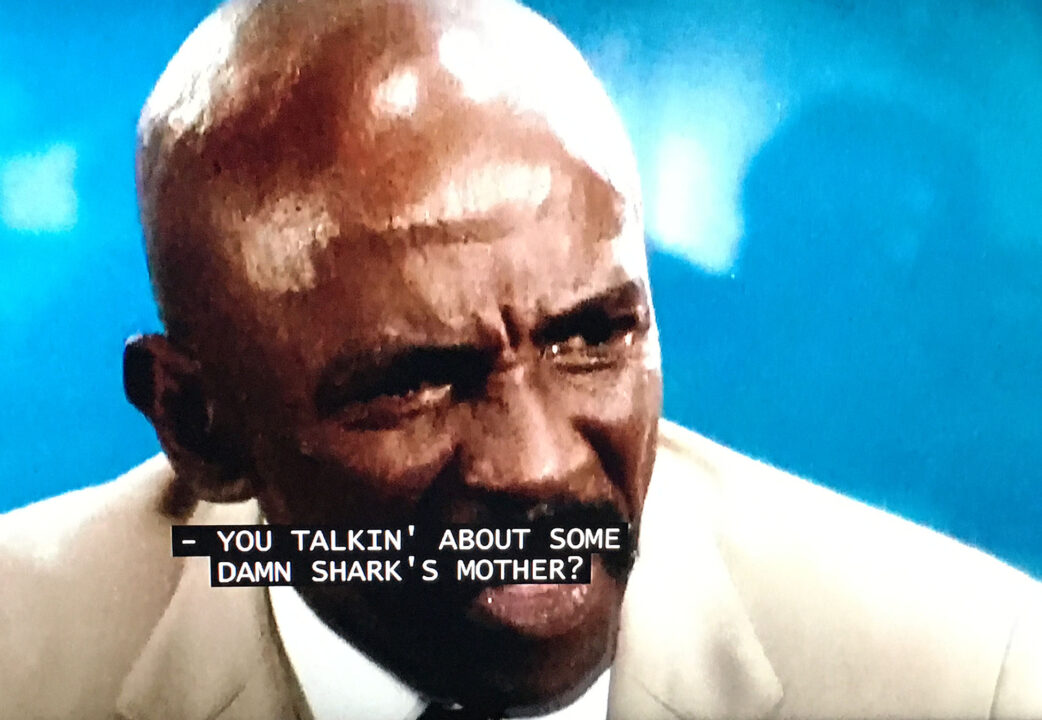 screenshot of a scene from the movie "Jaws 3." It is a closeup of Louis Gossett Jr.'s character looking confused and frustrated as a closed caption of what he is saying reads: "You talkin' about some damn shark's mother?"