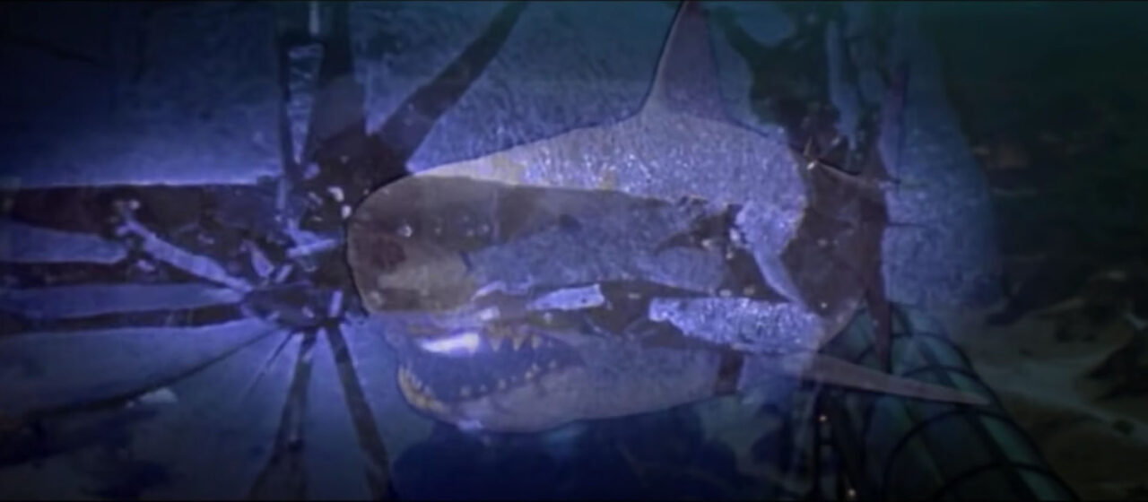 screenshot from the movie "Jaws 3." it is a scene where the great white shark is crashing through the window of a restaurant at an underwater theme park. As the shark is crashing through, shards of glass and flying toward the front of the image, reflecting how the moment was originally shown in 3-D in the movie's theatrical release.