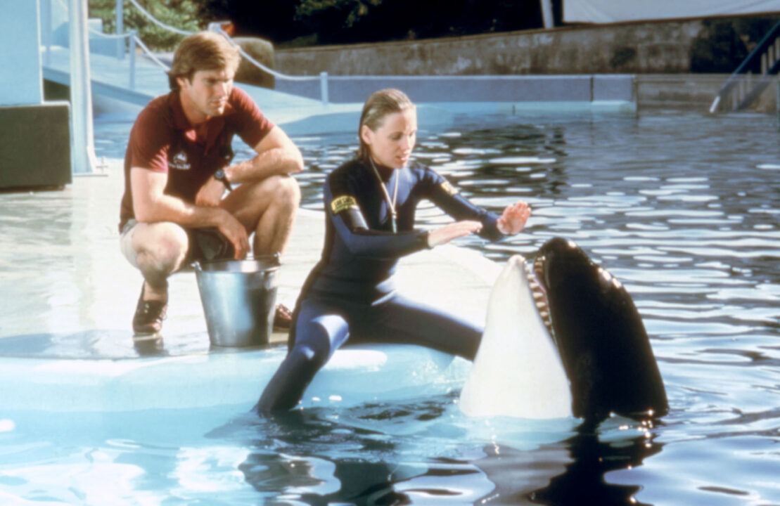 image from the 1983 movie "Jaws 3-D." Characters played by Dennis Quaid and Bess Armstrong (Armstrong is wearing a wetsuit) are on the left of the photo, on a deck adjacent to a pool at a marine theme park. Quaid is crouching down on the far left, Armstrong is seated on the deck just in front of him, with her feet in the water. She is feeding an orca that has its head just out of the pool.