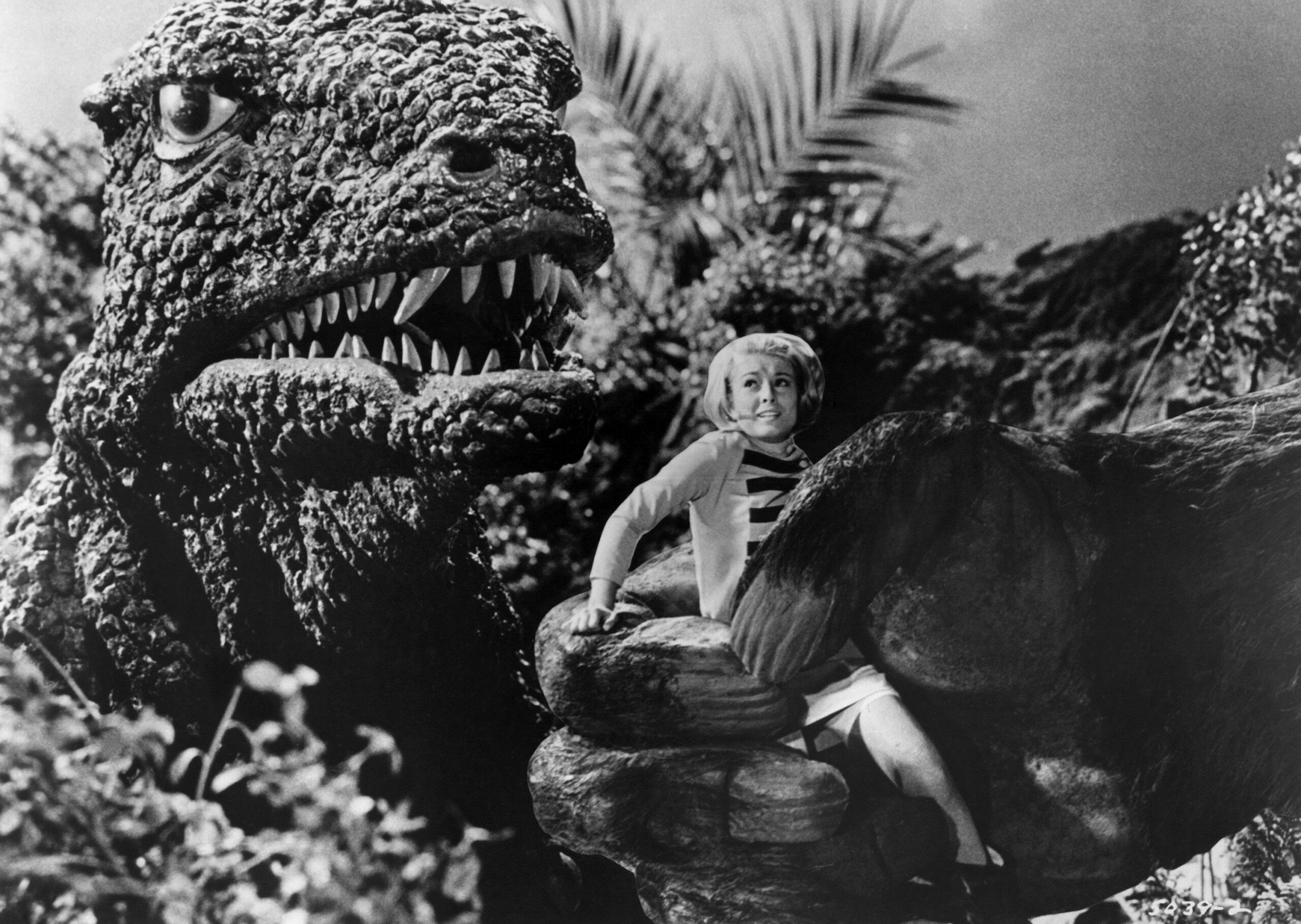 black and white photo from the 1967 Toho film "King Kong Escapes." It is a closeup of the dinosaur Gorosaurus, coming through some trees toward a woman being held in the giant ape Kong's hand.