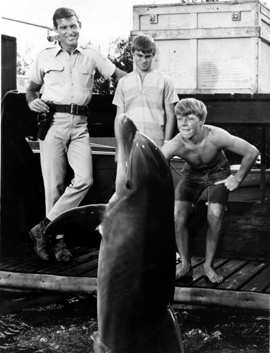 FLIPPER, Brian Kelly, Luke Halpin, Flipper, Tommy Norden, 1966, TV 1964-1968