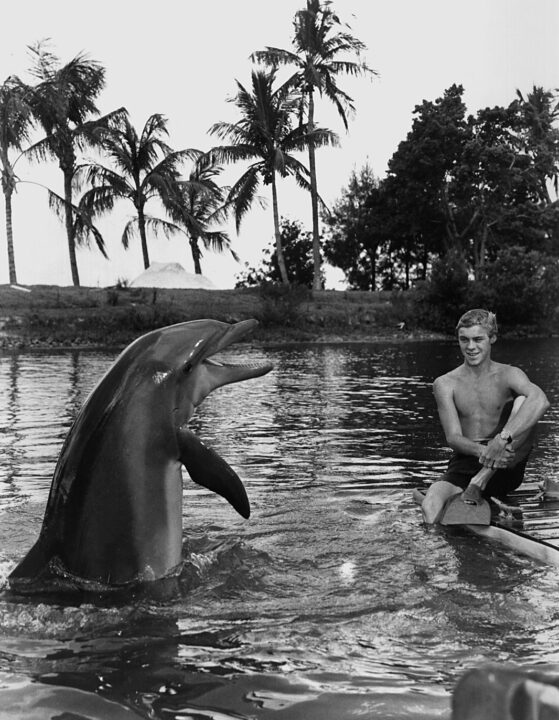FLIPPER, Flipper the dolphin, Luke Halpin, 1964-1967
