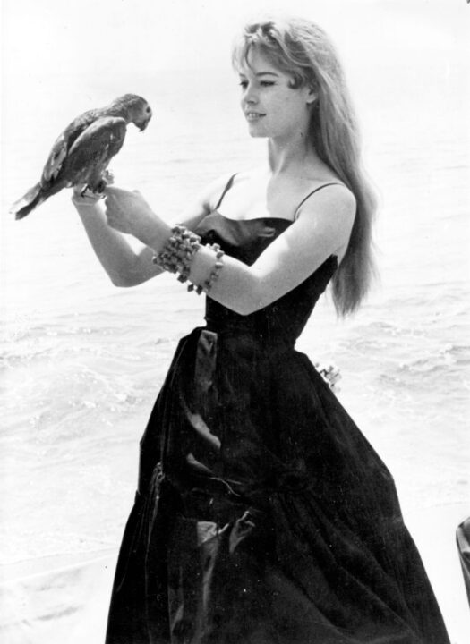 16th May 1956: Brigitte Bardot, originally Camille Javal, began her career as a model and ballet student. Her first film was 'Le Trou Normand' in 1952 which followed from an appearance of her on the cover of Elle magazine. Brigitte became a celebrated sex symbol of the 1960's, she did much to popularise French cinema internationally. Included amongst her most popular films are 'And God Created Woman' (1950), 'Viva Maria (1956) and 'Shalako' (1968)