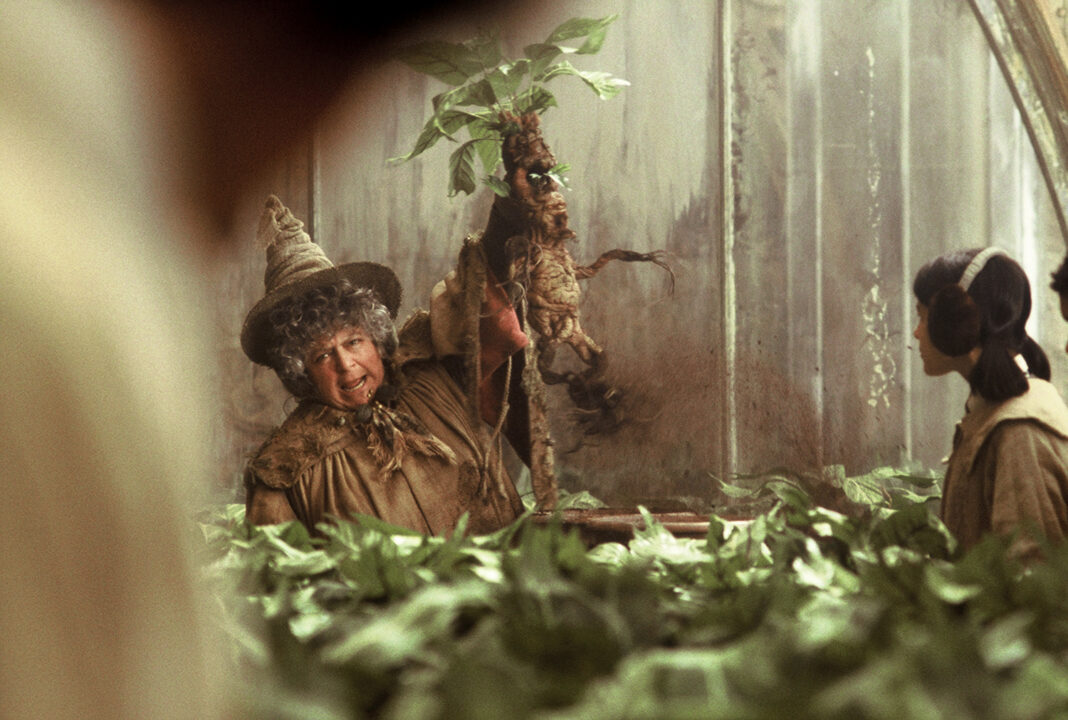 HARRY POTTER AND THE CHAMBER OF SECRETS, Miriam Margolyes pulls up a Mandrake, 2002