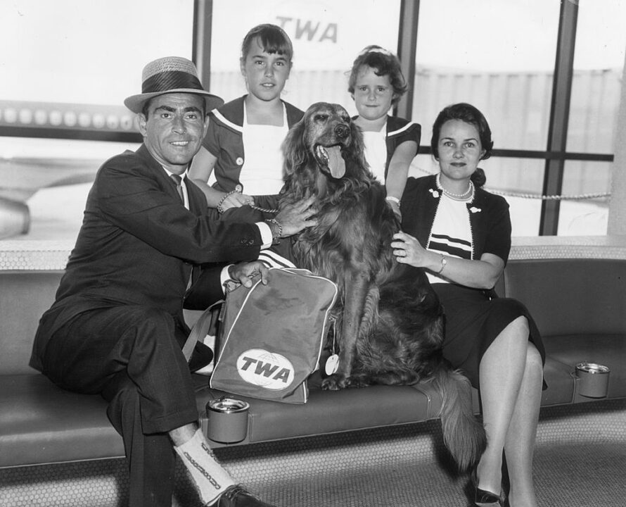 25th June 1962: American television writer and producer Rod Serling, his wife, Carol, their daughters, Jodi (L) and Nan, and their golden retriever, Beau, sit in a lounge after arriving from Los Angeles, LaGuardia Airport, New York City. He has a TWA duffel bag beside him on the seat.