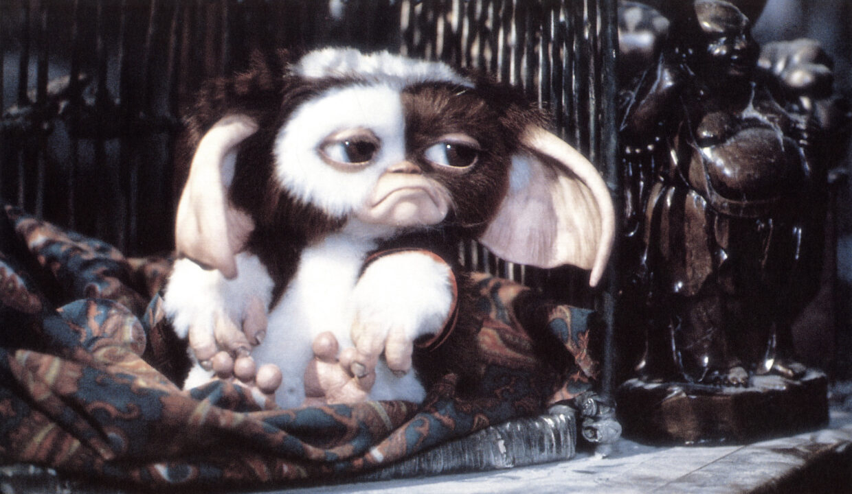 GREMLINS 2: THE NEW BATCH, Gizmo, 1990, © Warner Brothers/courtesy Everett Collection