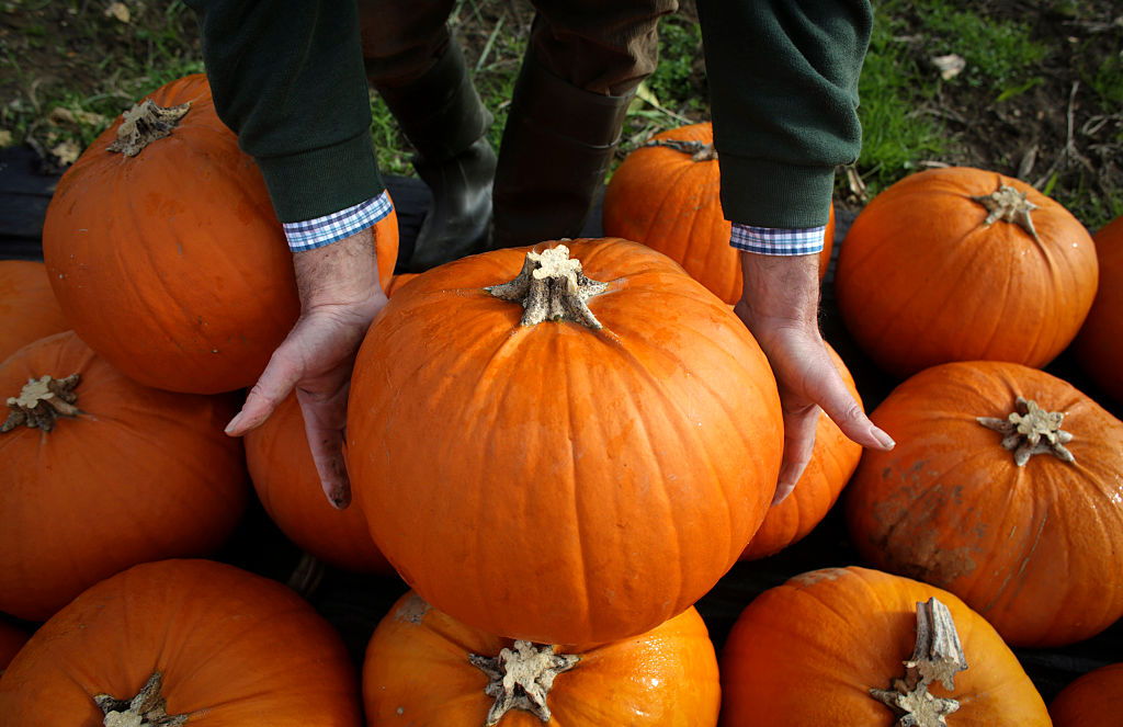 man holding a pumpkin in a pumpkin patch