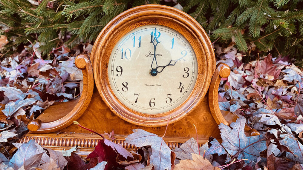Clock in leaves