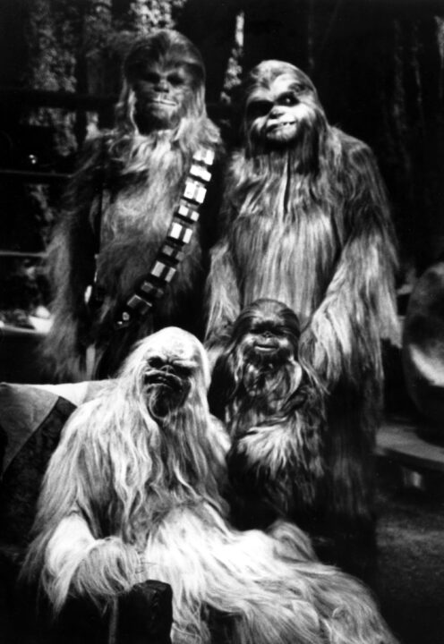 THE STAR WARS HOLIDAY SPECIAL, Peter Mayhew as Chewbacca (rear left), 1978