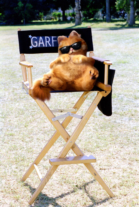 GARFIELD: THE MOVIE, Garfield the cat, 2004