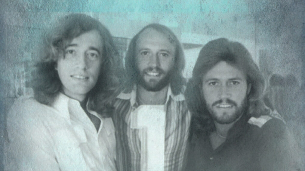 Maurice Gibb, Robin Gibb, Barry Gibb, cover of the book Decades: The Bee Gees in the 1970s