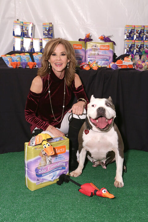  Actress Linda Blair at Backstage Creations Treat Suite At FOX's All-Star Dog Rescue Celebration at Barker Hangar on November 21, 2015