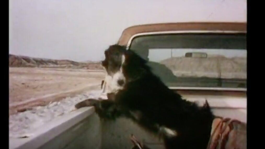 Old-School Earworm: Do Any Other Gen Xers Sing That 'Hard-Workin' Dog' Song From 1970s 'Sesame Street' to Their Pups?