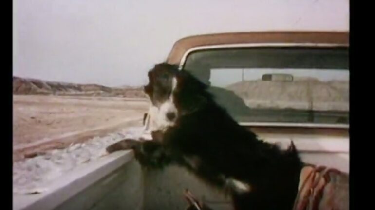 scene from the 1970s