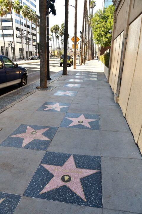 A view of Ryan O'Neal and Ali MacGraw's stars on the Hollywood Walk of Fame on February 12, 2021 in Hollywood, California. The Hollywood Chamber of Commerce honored Ali MacGraw and Ryan O'Neal with a virtual double star ceremony today in celebration of the 50th anniversary of "Love Story" and Valentine’s Day