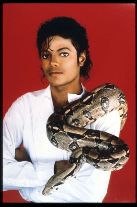 Entertainer Michael Jackson poses with his pet boa constrictor September 15, 1987 in the USA