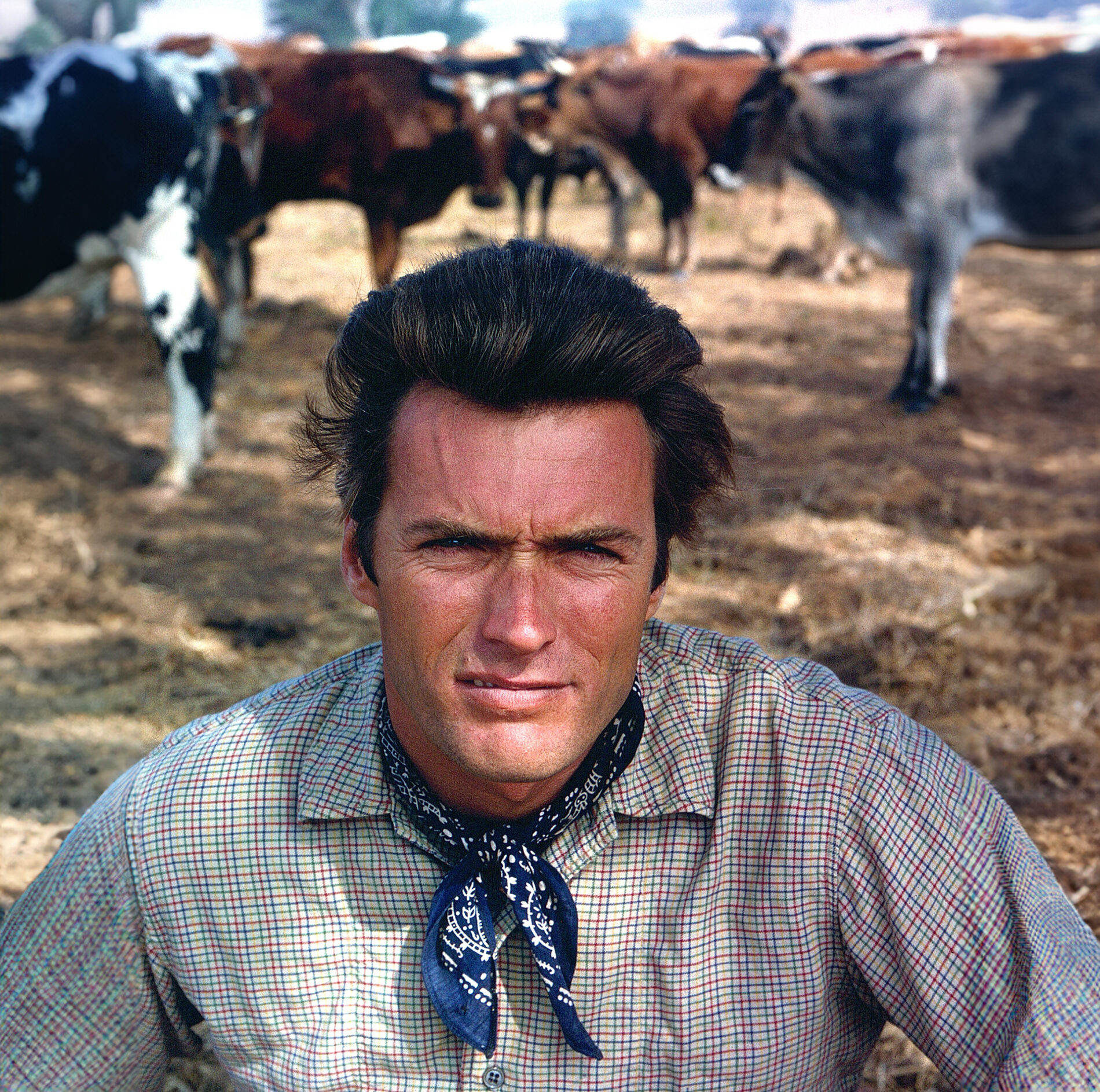 RAWHIDE, Clint Eastwood, (1962). 1959-1966.