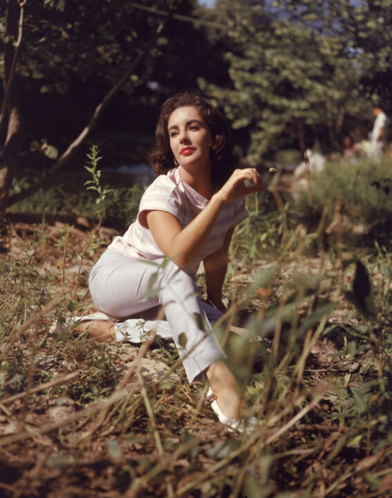British-born actor Elizabeth Taylor sits in a field and twirls a blade of grass in her right hand, circa 1950s