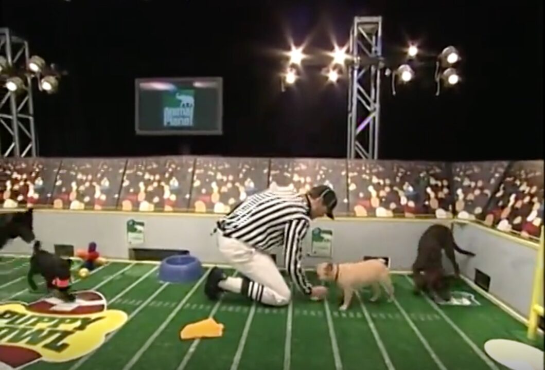 image from the first Puppy Bowl on Animal Planet in 2005. A referee is bent down on the field and wiping up a mess that one of the puppies has left on the gridiron, while various puppies look on.