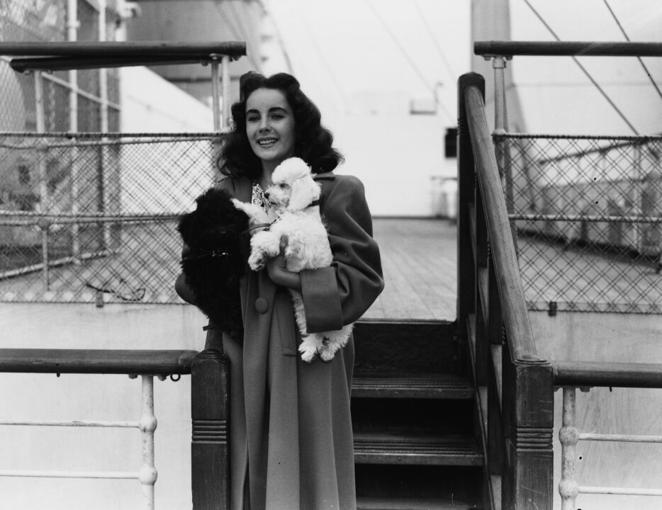 Actress Elizabeth Taylor pictured on the deck of the 'SS Queen Mary' holding her pet French Poodle 'Teeny', at Southampton, September 4th 1947. 