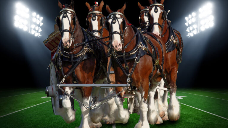 Clydesdales and football field collage
