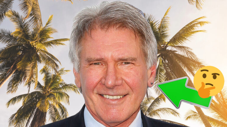 Harrison Ford earring