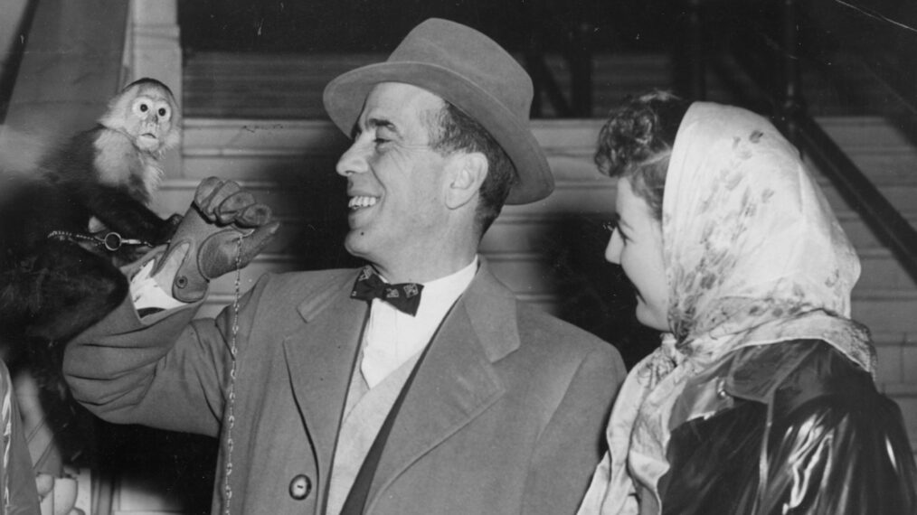 Monkey Shines, Bogey Beams: Humphrey Bogart happily accepts a monkey from members of the Bogart fan club who thought the handsom little fellow would be a fitting gift to celebrate the stars Technicolor film 