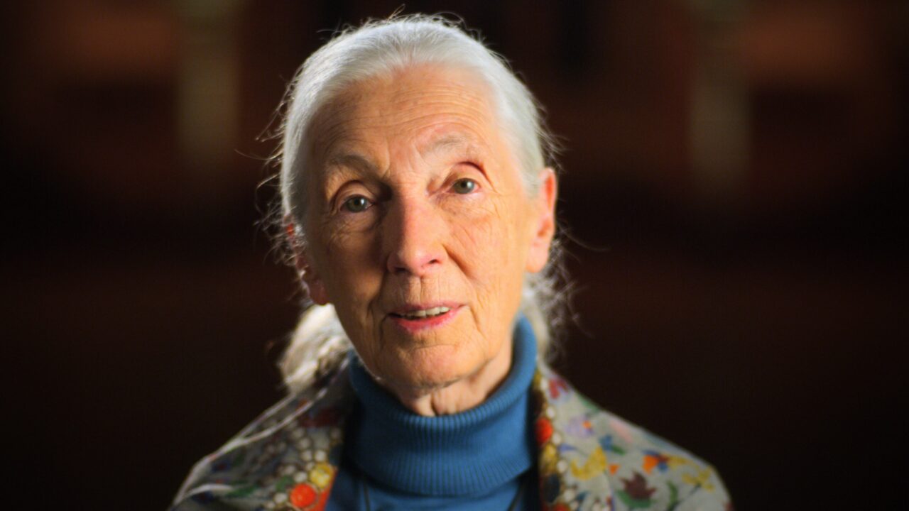 Jane Goodall, (Season 1, aired June 5, 2020).