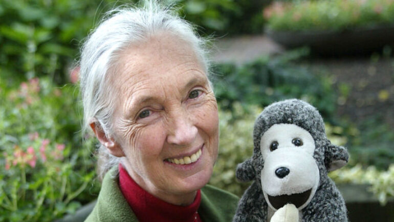 British environmentalist Jane Goodall poses for a portrait at the garden of Groningen University at the Sharing the Planet conference June 14, 2002 in Groningen, Netherlands. The conference deals with international sustainable development and is the beginning stages for the U.N. Environment meeting in Johannesburg August 2002