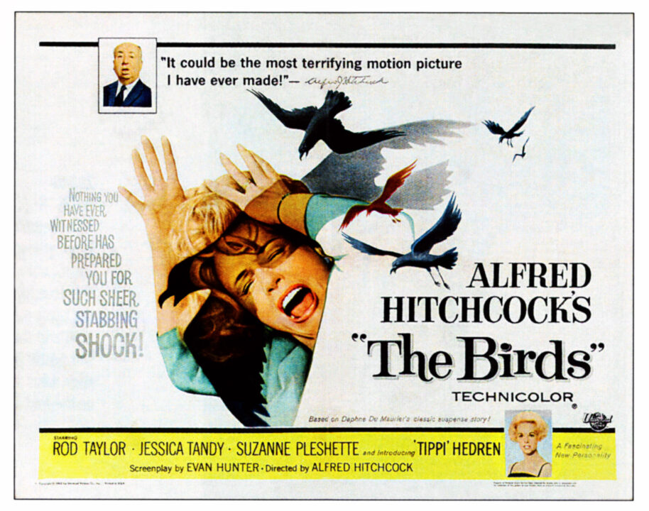 THE BIRDS, top: Alfred Hitchcock, center and bottom: Tippi Hedren on poster art, 1963.