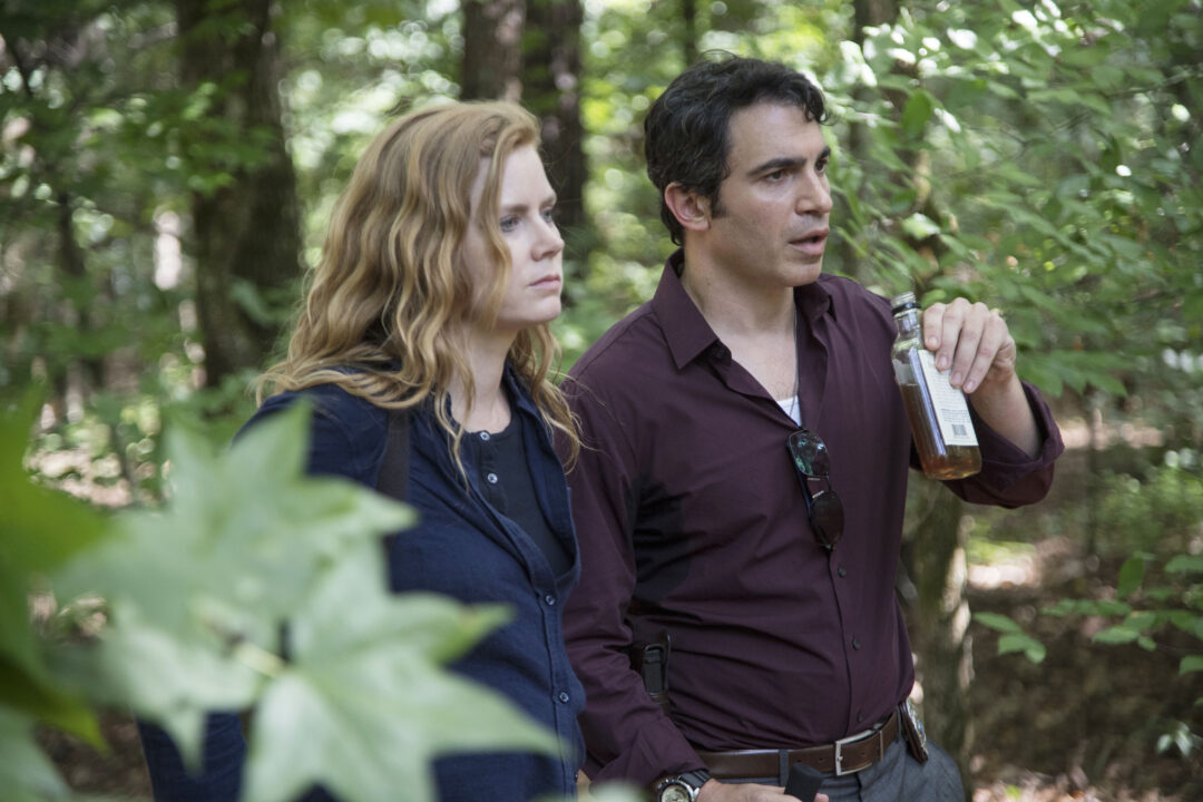 SHARP OBJECTS, from left: Amy Adams, Chris Messaina, 'Ripe', (Season 1, ep. 104, aired July 29, 2018).