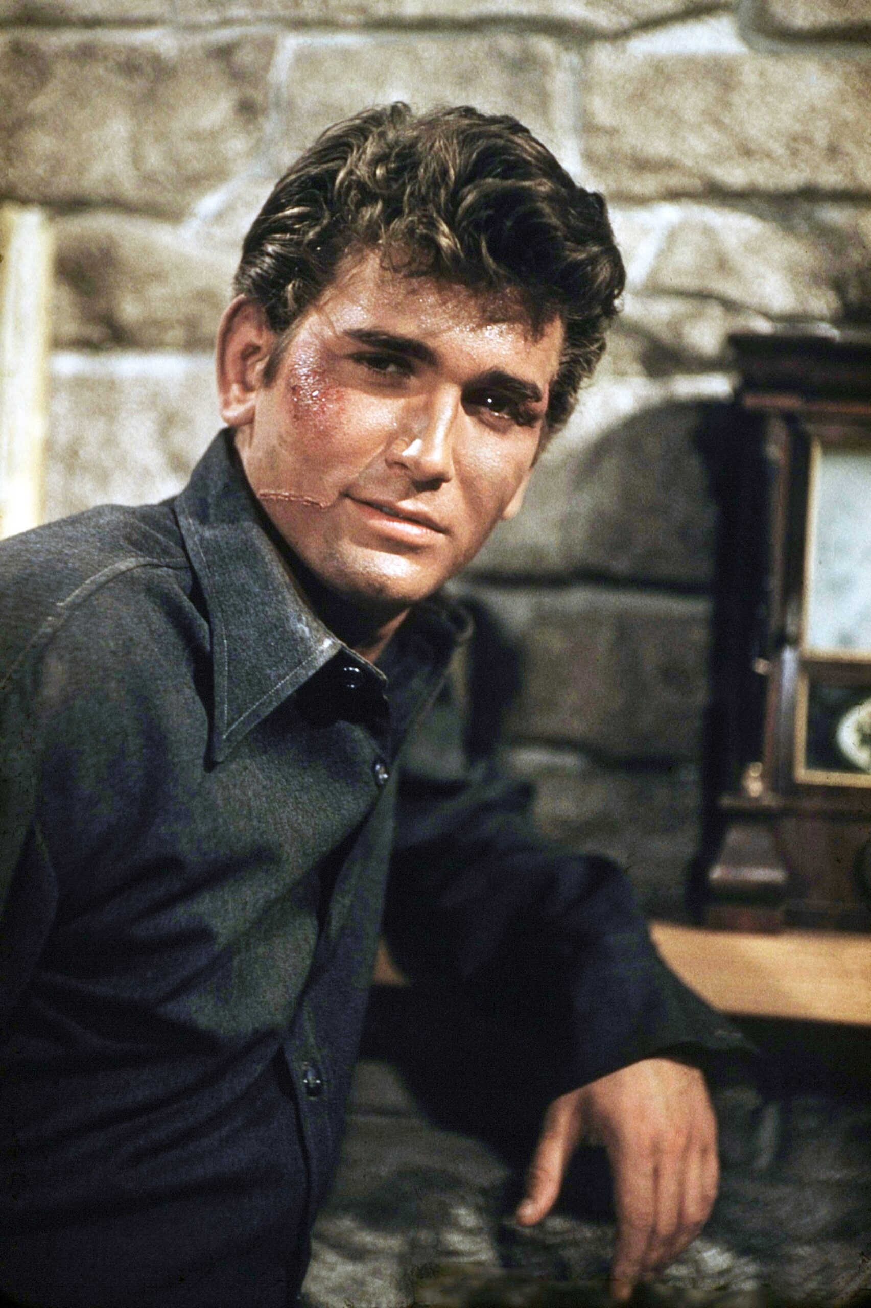 Michael Landon Life & Legacy of America's Favorite Family Man